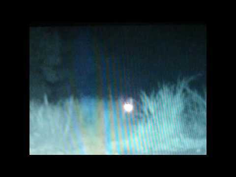 REAL ALIEN SIGHTING!  Spooky Original Video/sighting